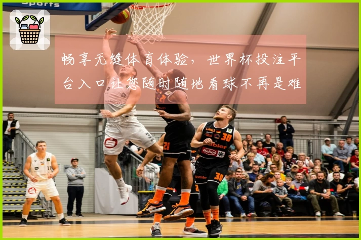 畅享无缝体育体验，世界杯投注平台入口让您随时随地看球不再是难题