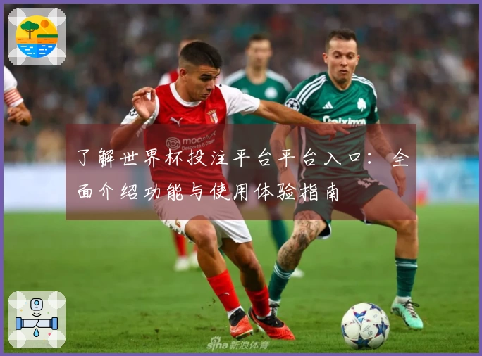 了解世界杯投注平台平台入口:全面介绍功能与使用体验指南