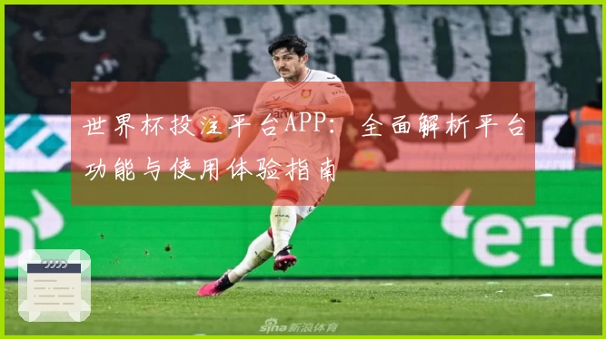 世界杯投注平台APP:全面解析平台功能与使用体验指南