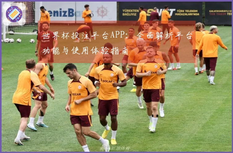 世界杯投注平台APP：全面解析平台功能与使用体验指南
