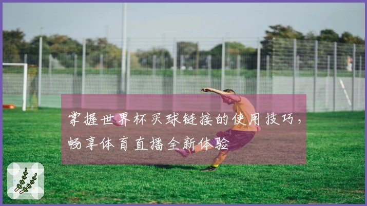 掌握世界杯买球链接的使用技巧，畅享体育直播全新体验