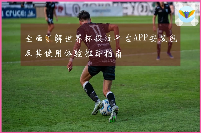 全面了解世界杯投注平台APP安装包及其使用体验推荐指南