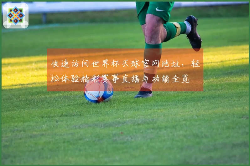 快速访问世界杯买球官网地址，轻松体验精彩赛事直播与功能全览