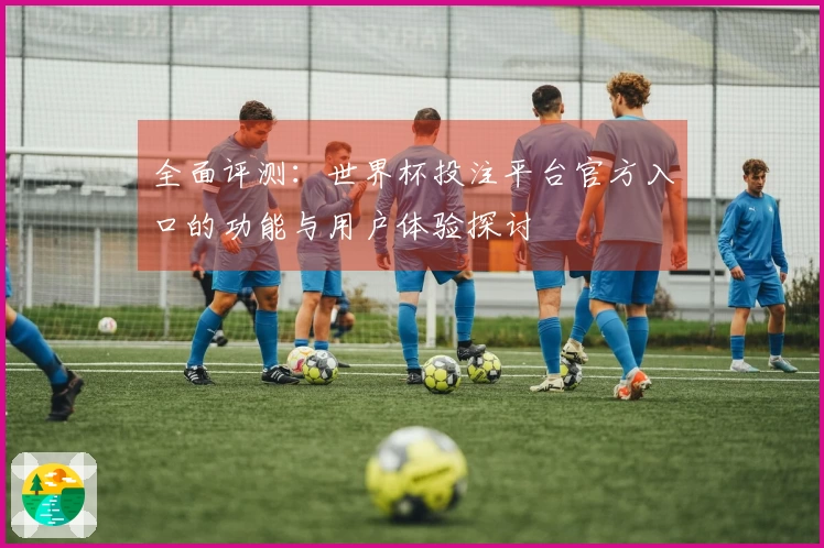 全面评测:世界杯投注平台官方入口的功能与用户体验探讨